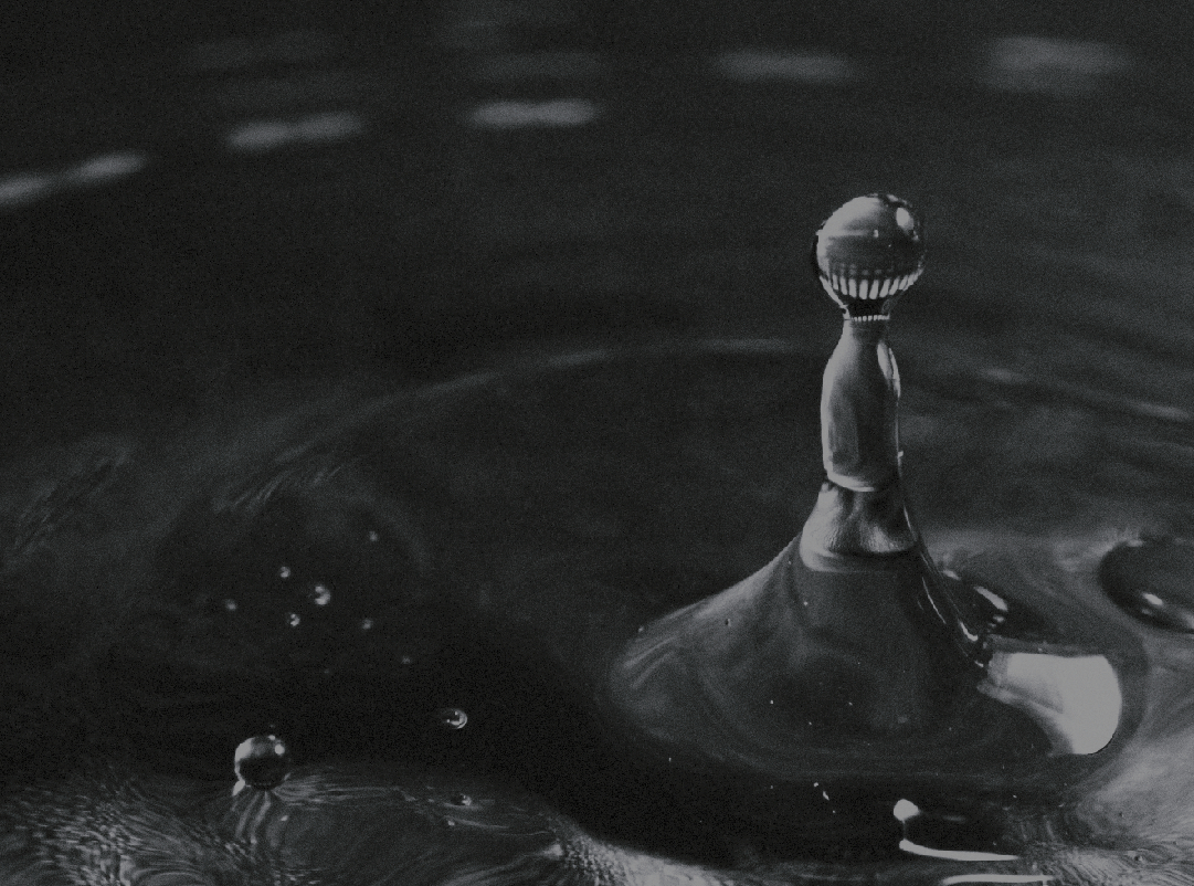 Claudio Cerasa presenta L'antidoto